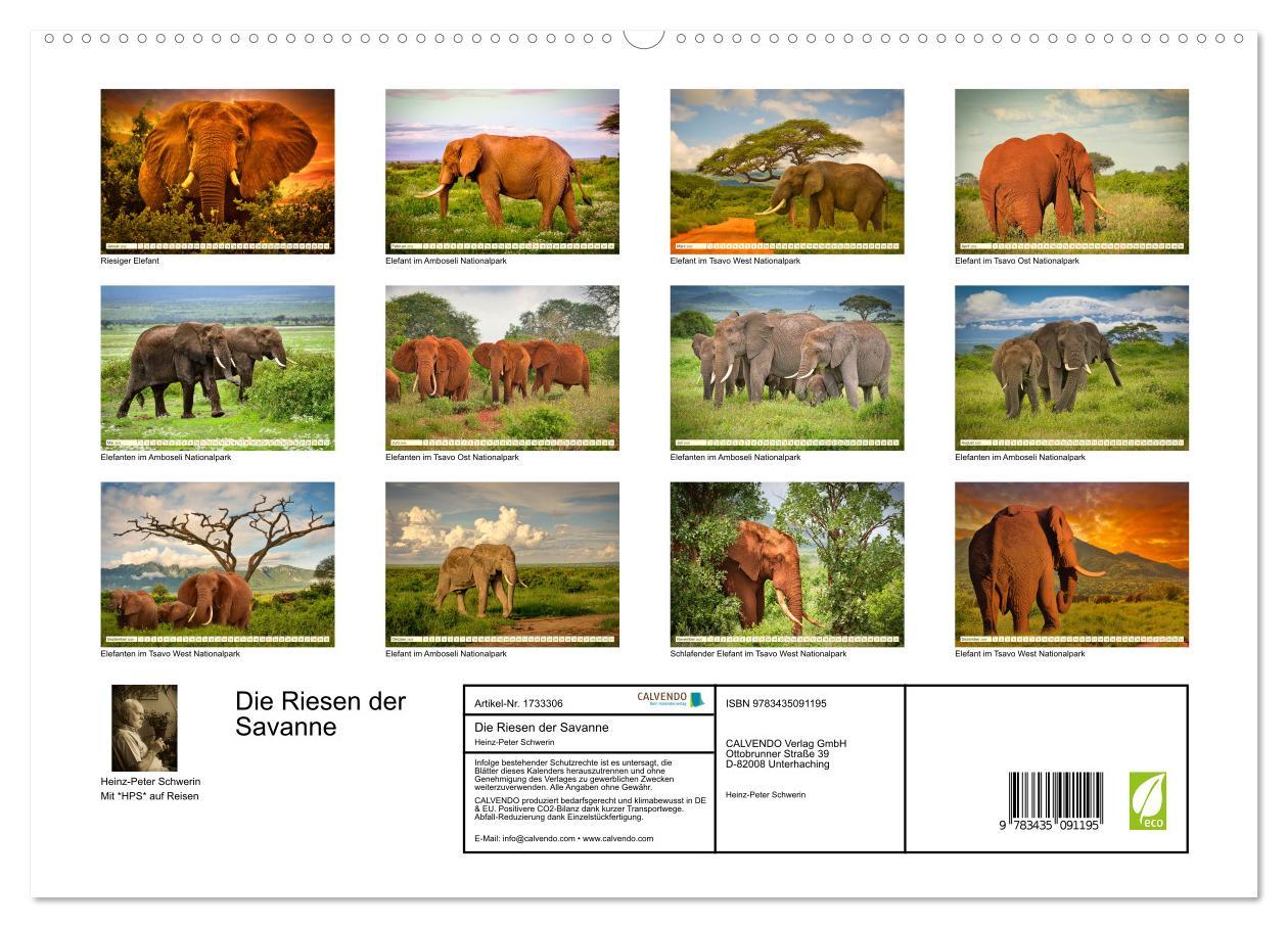 Bild: 9783435091195 | Die Riesen der Savanne (Wandkalender 2025 DIN A2 quer), CALVENDO...