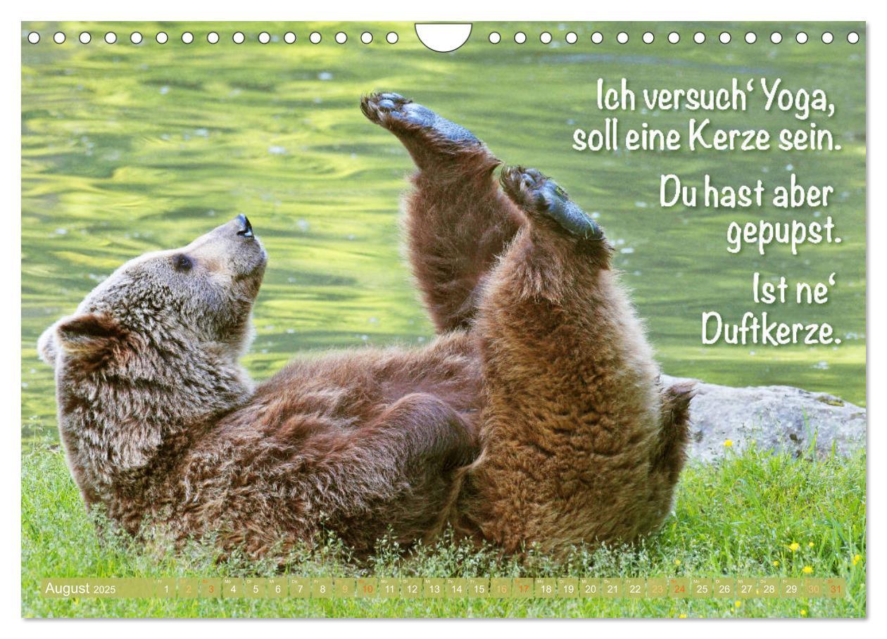 Bild: 9783383853494 | Spaß mit Bären: Edition lustige Tiere (Wandkalender 2025 DIN A4...