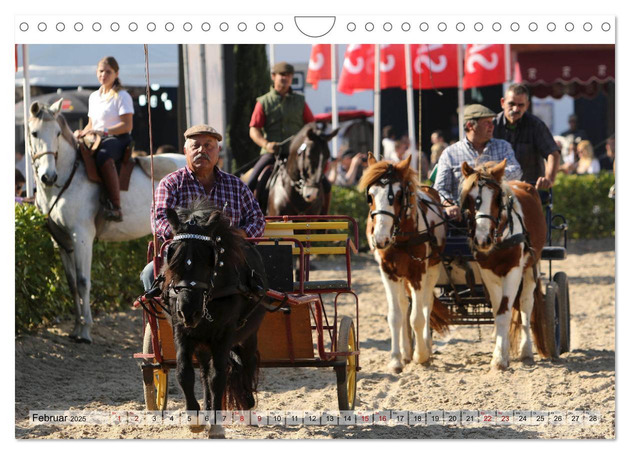 Bild: 9783435426348 | Portugal - Pferdefestival von Golegã (Wandkalender 2025 DIN A4...