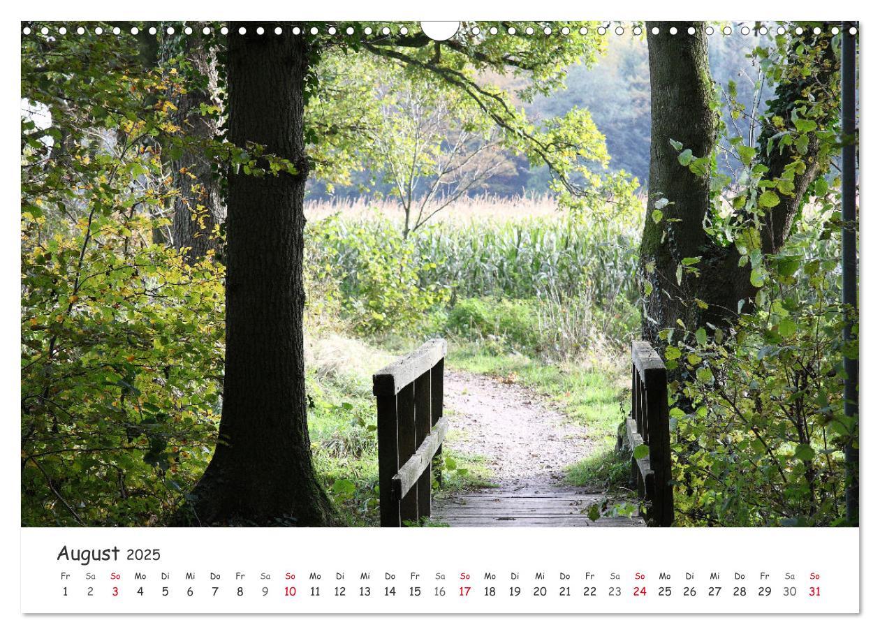 Bild: 9783435078431 | Zauberhaftes Ammerland (Wandkalender 2025 DIN A3 quer), CALVENDO...