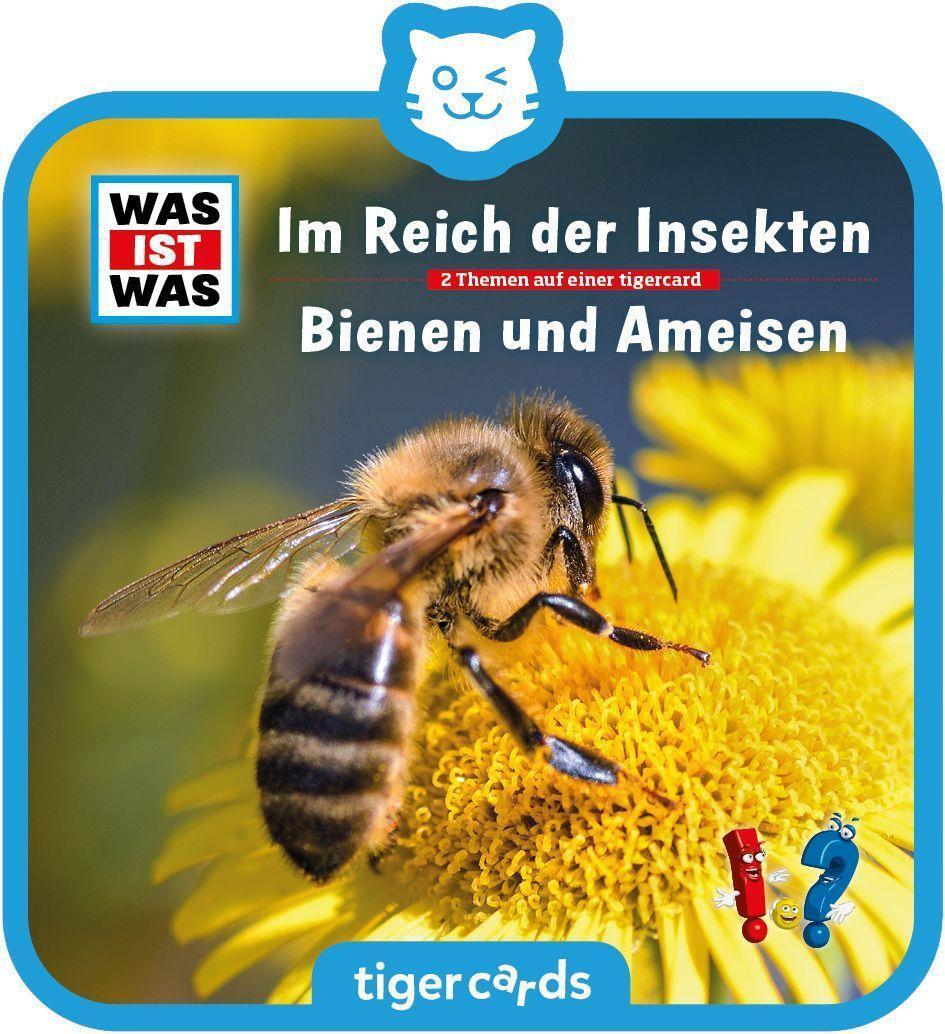 Cover: 4260535484270 | tigercard - WAS IST WAS - Im Reich der Insekten/ Bienen und Ameisen