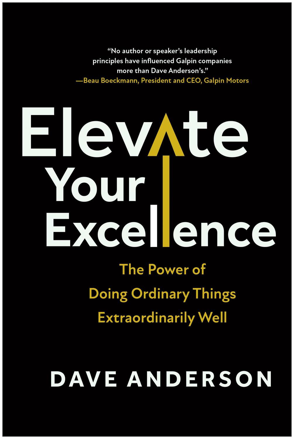 Cover: 9781637745618 | Elevate Your Excellence | Dave Anderson | Buch | Englisch | 2024