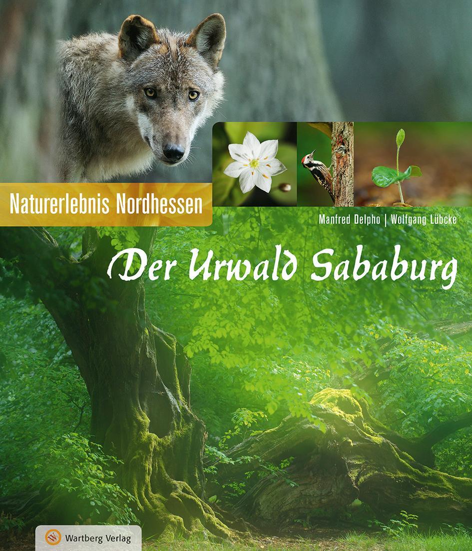 Cover: 9783831325078 | Der Urwald Sababurg | Naturerlebnis Nordhessen | Delpho (u. a.) | Buch
