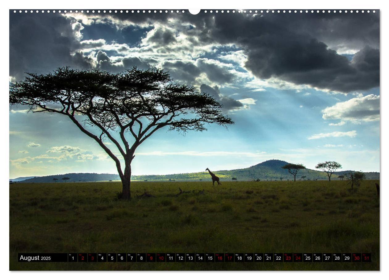 Bild: 9783435338962 | Tansania - Tierwanderung in der Serengeti (hochwertiger Premium...