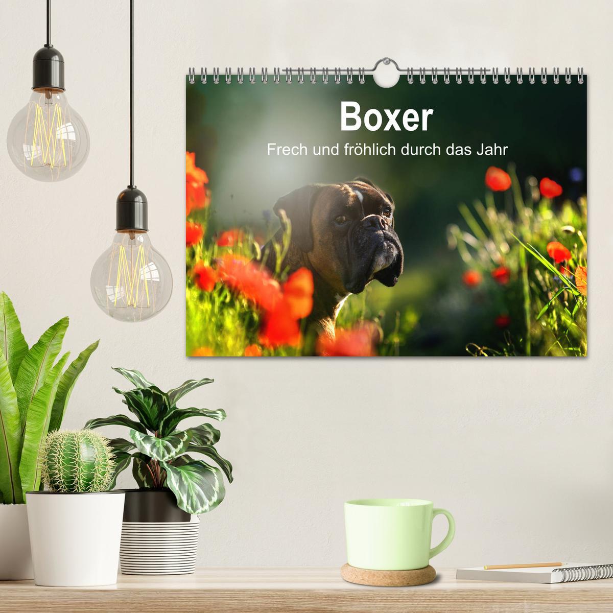 Bild: 9783435110896 | Boxer Frech und fröhlich durch das Jahr (Wandkalender 2025 DIN A4...