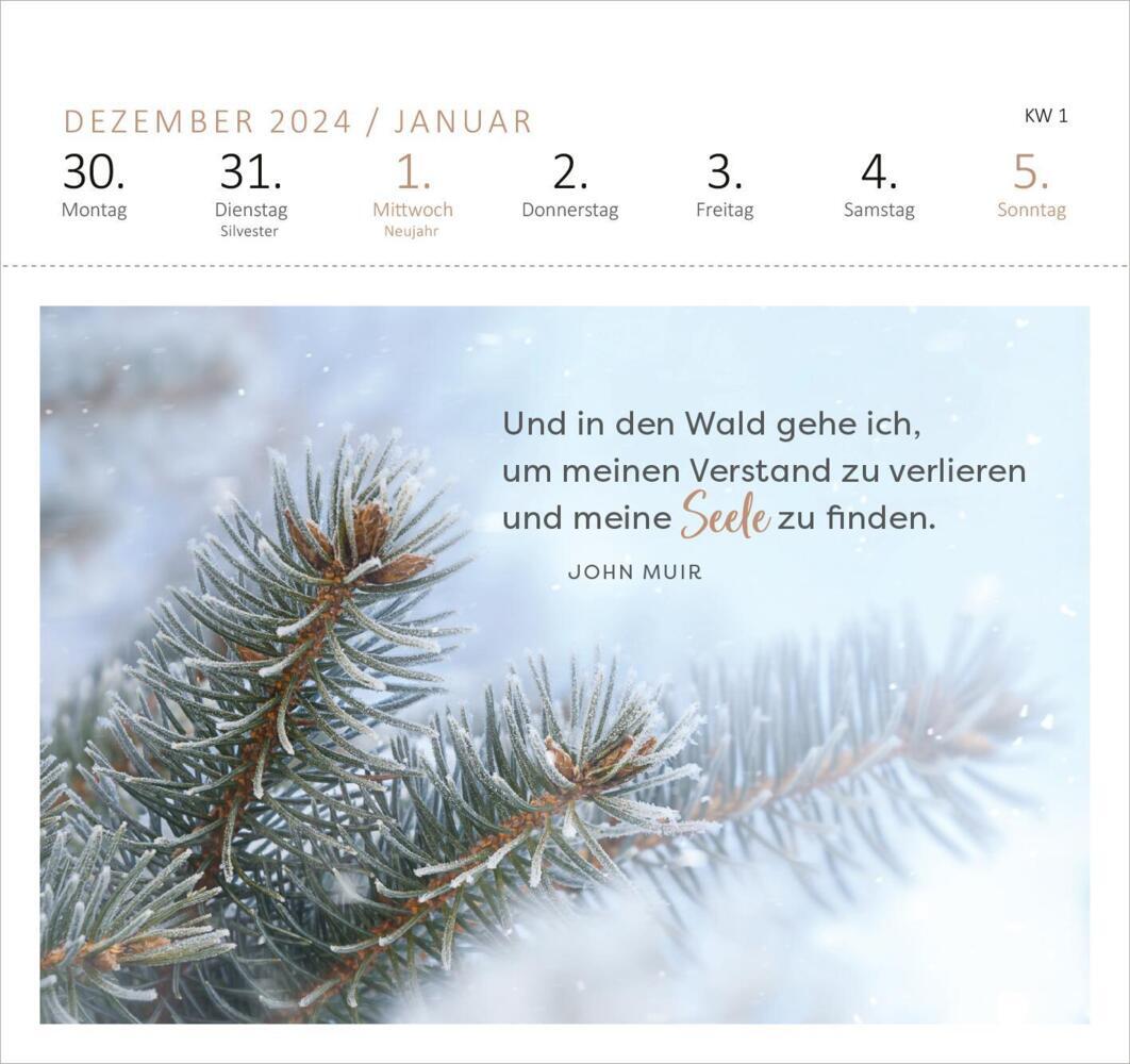 Bild: 4014489132905 | Postkartenkalender Wald und wunderbar 2025 | Kalender | 108 S. | 2025