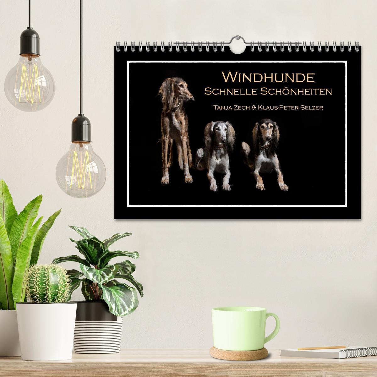 Bild: 9783435177707 | Windhunde - Schnelle Schönheiten (Wandkalender 2025 DIN A4 quer),...