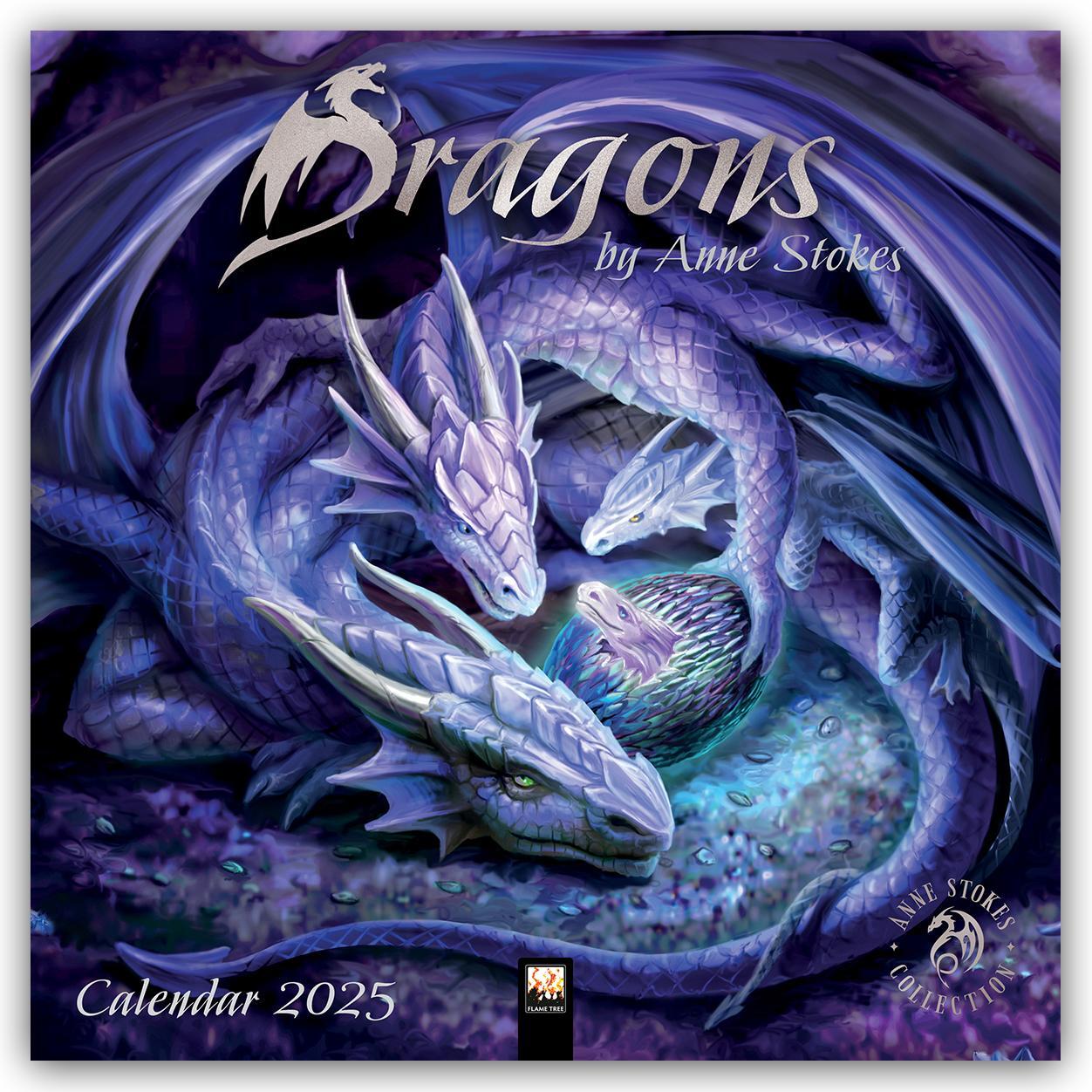 Cover: 9781835620090 | Dragons by Anne Stokes Wall Calendar 2025 (Art Calendar) | Kalender