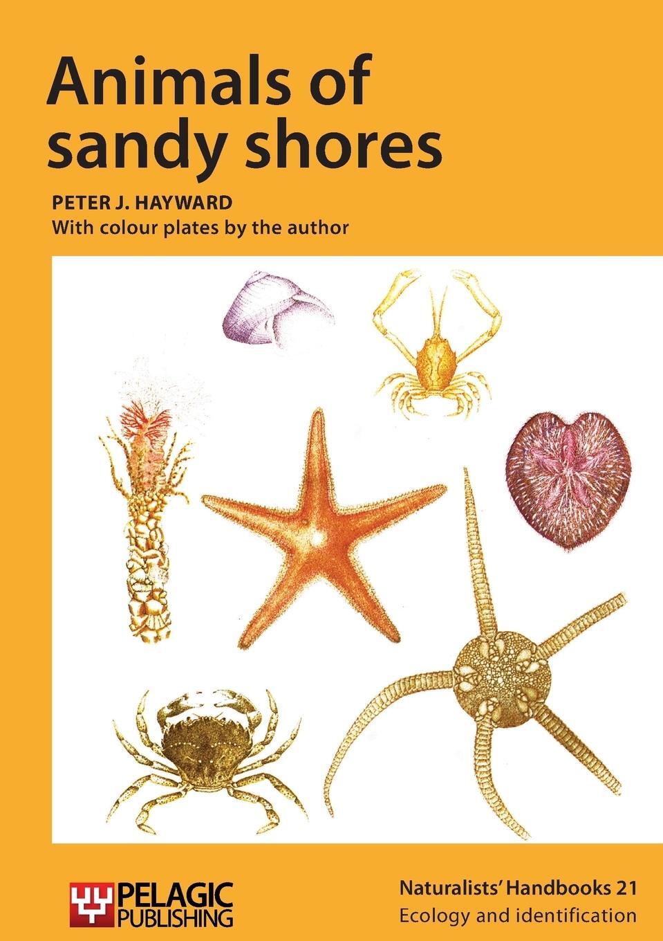 Cover: 9781784270391 | Animals of sandy shores | Peter J. Hayward | Taschenbuch | Paperback