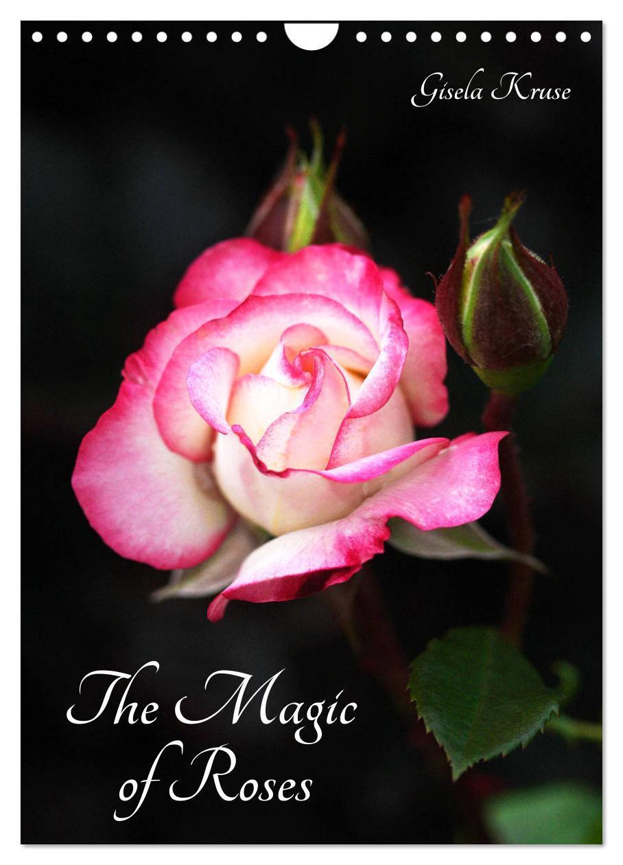 Cover: 9781325854691 | The Magic of Roses (Wall Calendar 2024 DIN A4 portrait), CALVENDO...