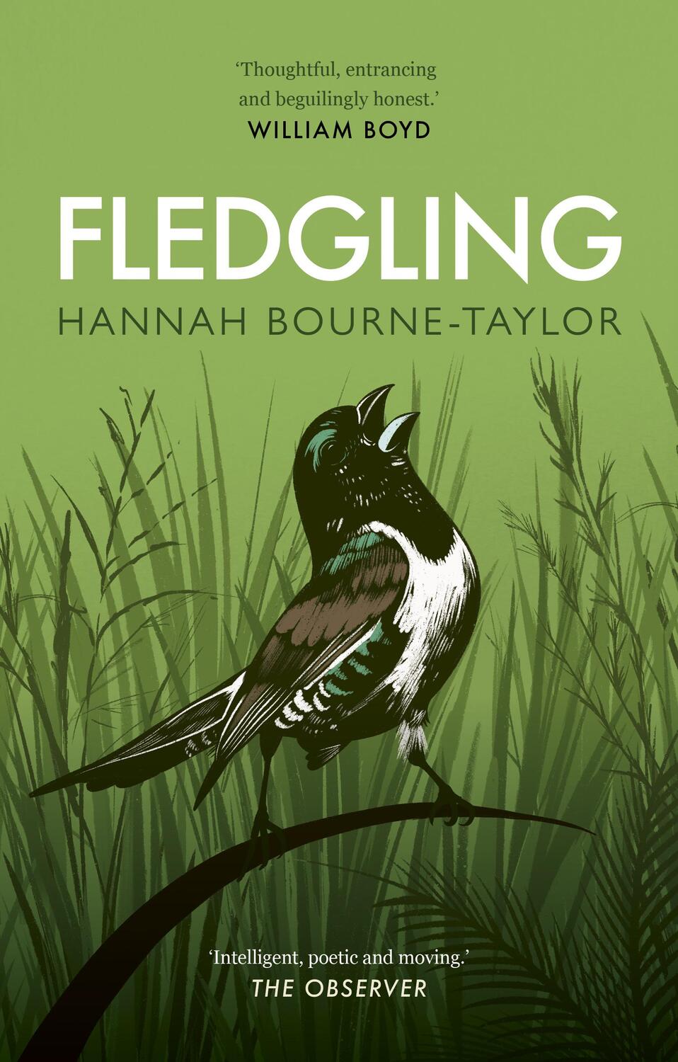 Cover: 9780711266681 | Fledgling | Hannah Bourne-Taylor | Taschenbuch | 2023