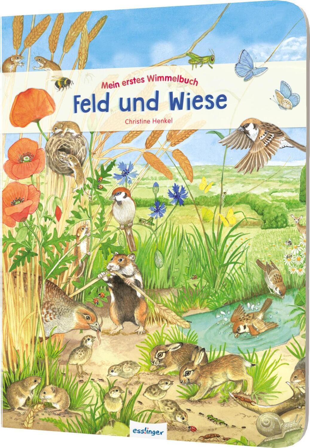 Cover: 9783480227822 | Mein erstes Wimmelbuch - Feld und Wiese | Buch | 16 S. | Deutsch