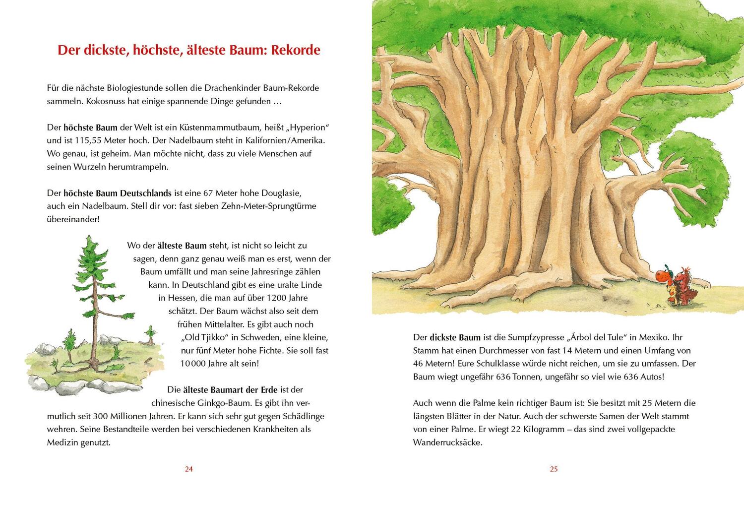 Bild: 9783570180785 | Der kleine Drache Kokosnuss - Mein erstes Wald-Buch | Ingo Siegner