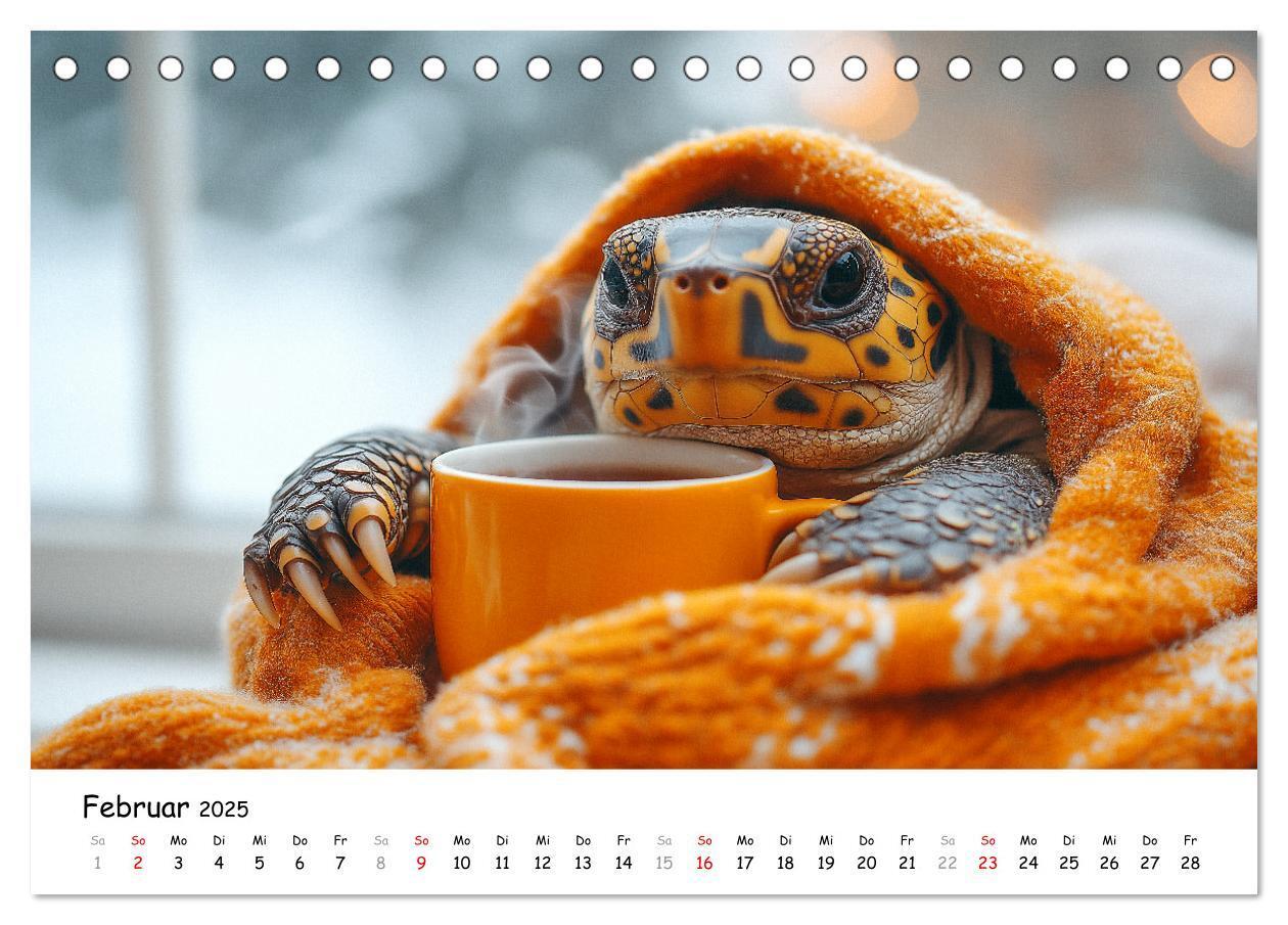 Bild: 9783457215890 | CHILL MAL - Entspannte Schildkröten beim Faulenzen (Tischkalender...