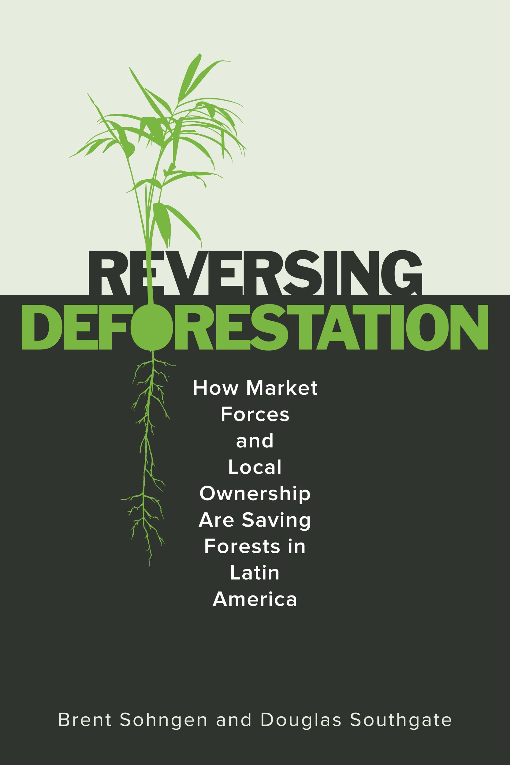 Cover: 9781503641396 | Reversing Deforestation | Brent Sohngen (u. a.) | Taschenbuch | 2024