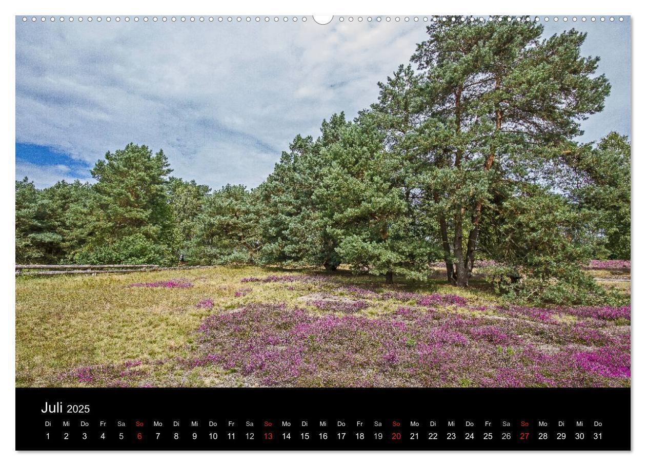 Bild: 9783435775040 | Lüneburger Heide (Wandkalender 2025 DIN A2 quer), CALVENDO...