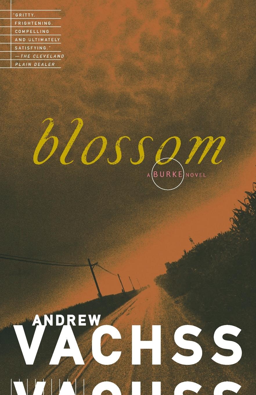 Cover: 9780679772613 | Blossom | Andrew Vachss | Taschenbuch | Englisch | 1996