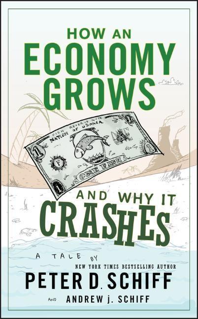 Cover: 9780470526705 | How an Economy Grows and Why It Crashes | Two Tales of the Economy