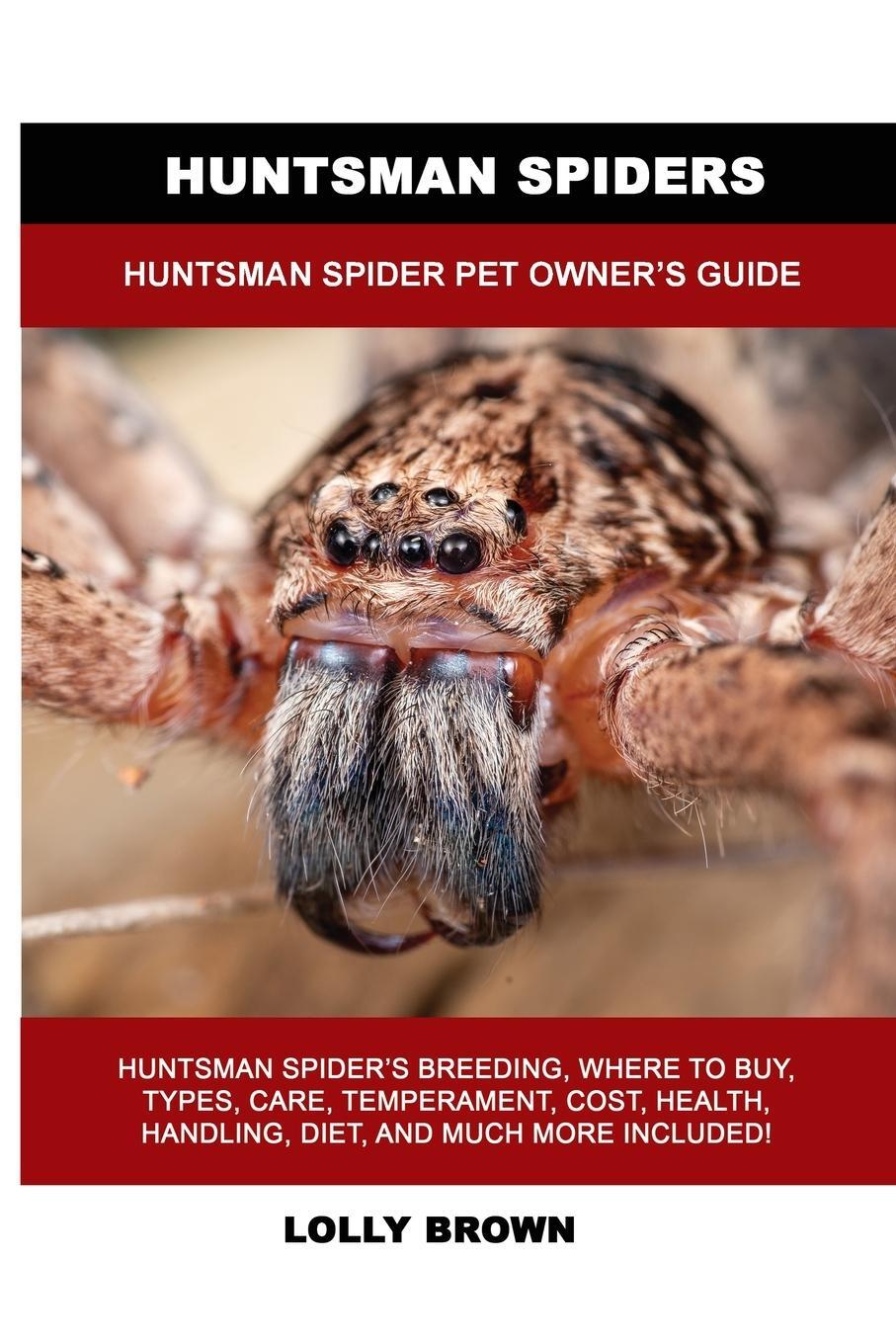 Cover: 9781949555332 | Huntsman Spiders | Huntsman Spider Pet Owner's Guide | Lolly Brown