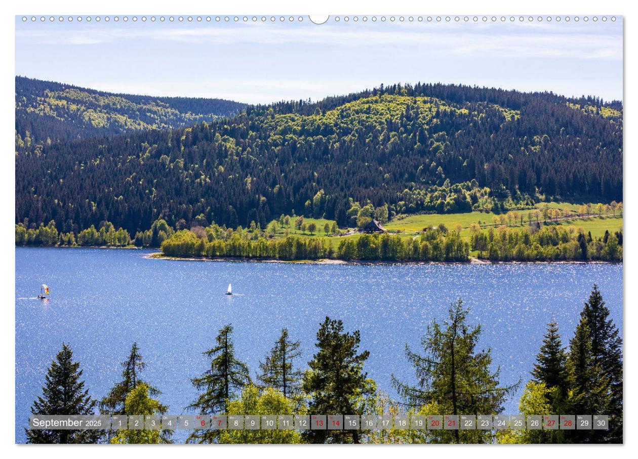 Bild: 9783435076390 | Ein Jahr im Schwarzwald (Wandkalender 2025 DIN A2 quer), CALVENDO...