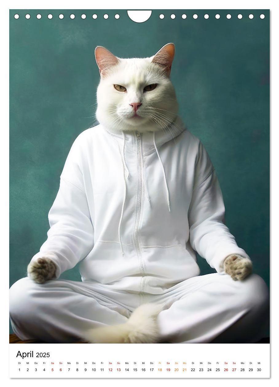 Bild: 9783435847167 | Miau Yoga (Wandkalender 2025 DIN A4 hoch), CALVENDO Monatskalender