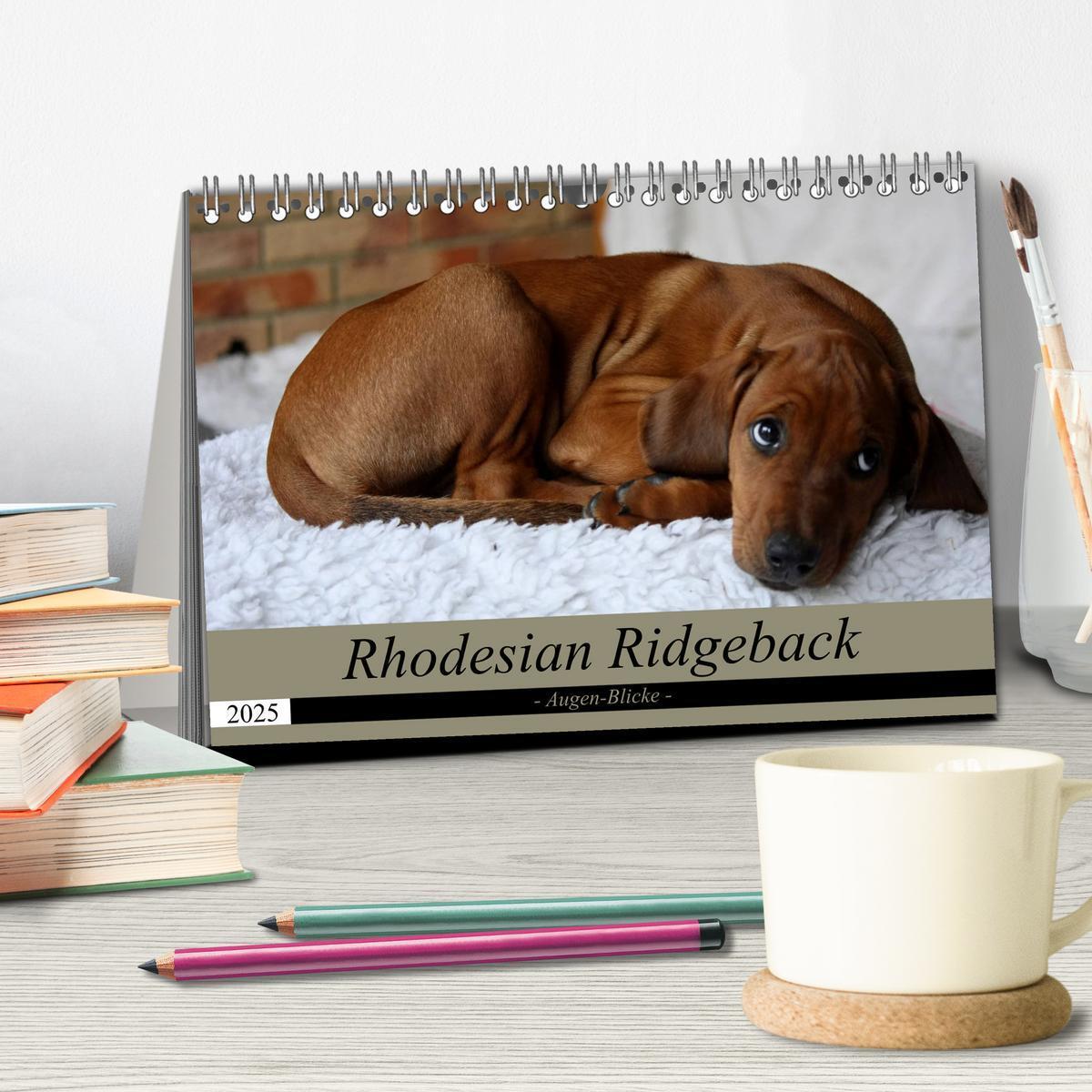 Bild: 9783435261123 | Rhodesian Ridgeback Augen-Blicke (Tischkalender 2025 DIN A5 quer),...