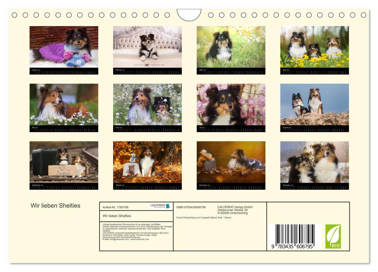 Bild: 9783435606795 | Wir lieben Shelties (Wandkalender 2025 DIN A4 quer), CALVENDO...