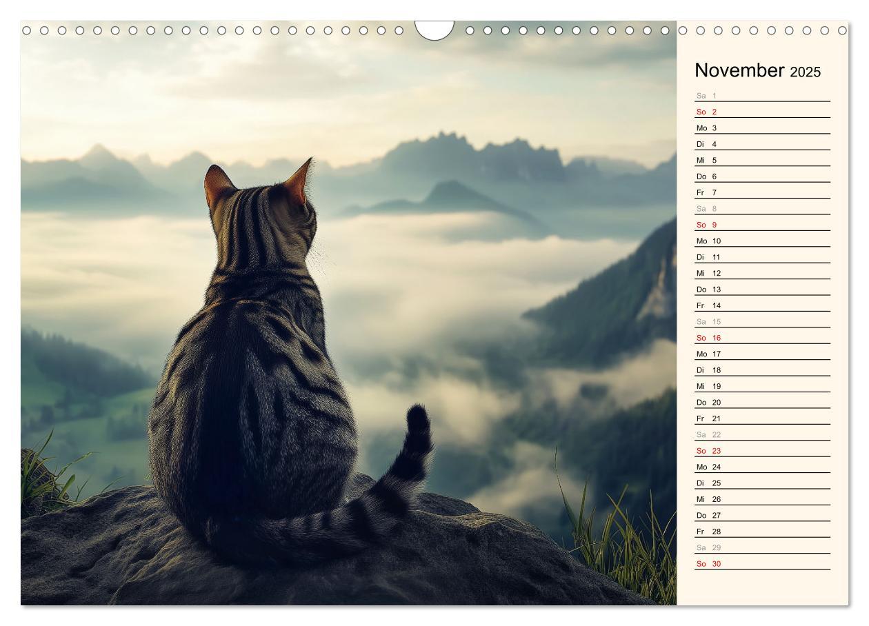 Bild: 9783457179826 | Katzen schaffen Kunst (Wandkalender 2025 DIN A3 quer), CALVENDO...