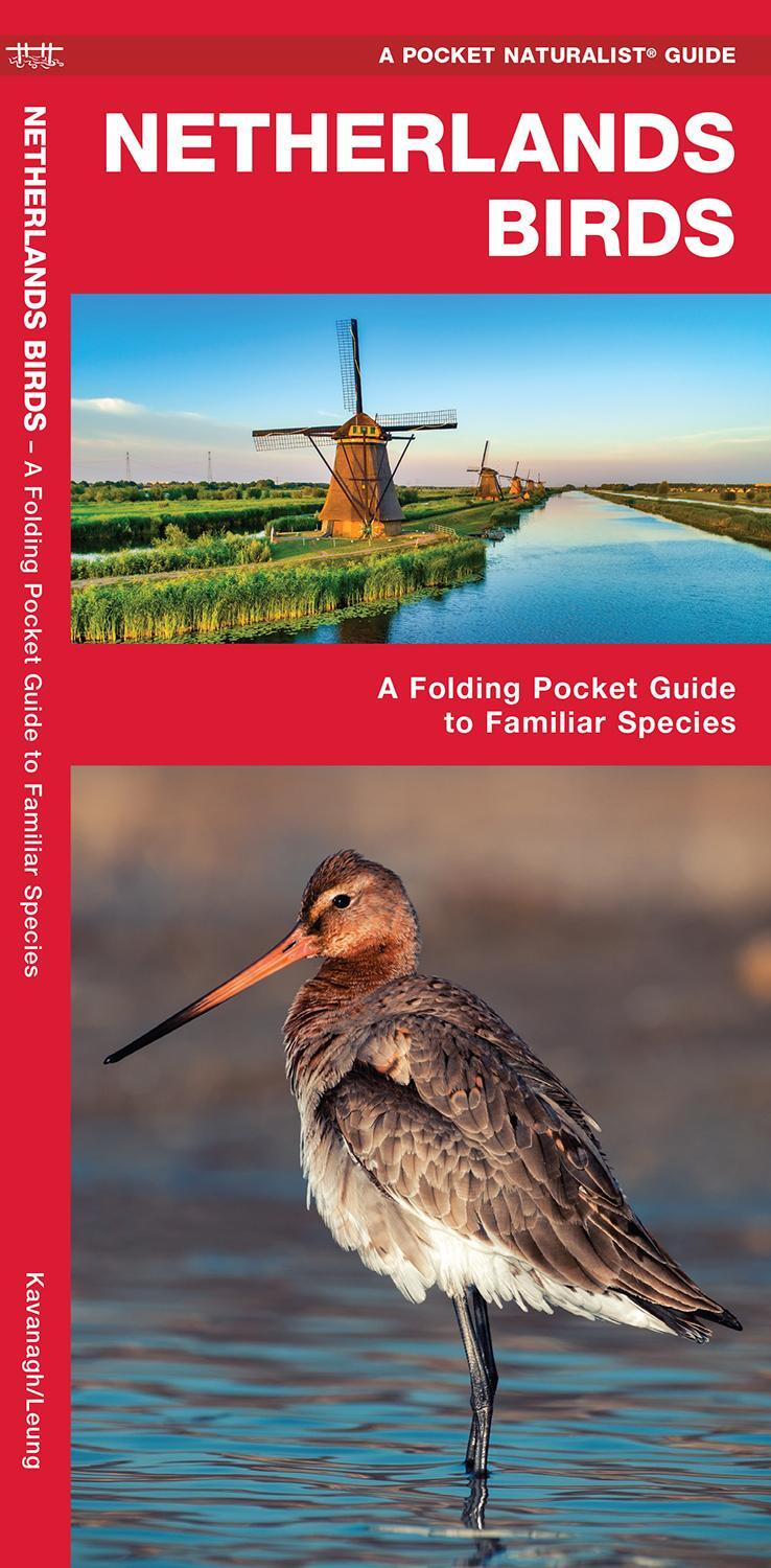 Cover: 9781620053478 | Netherlands Birds | A Folding Pocket Guide to Familiar Species | 2020