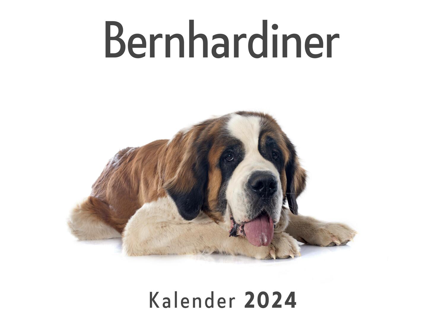 Cover: 9783750557581 | Bernhardiner (Wandkalender 2024, Kalender DIN A4 quer,...