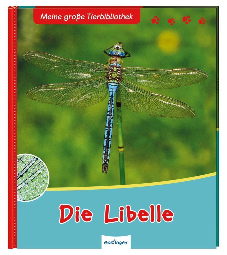 Cover: 9783480233885 | Meine große Tierbibliothek: Die Libelle | Axel Gutjahr | Buch | 32 S.