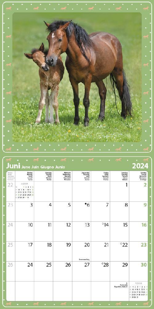 Bild: 9783731872108 | Pferdekalender 2024 | Korsch Verlag | Kalender | Englisch Broschur