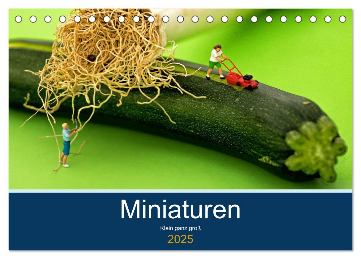 Cover: 9783435341740 | Miniaturen - Klein ganz groß (Tischkalender 2025 DIN A5 quer),...