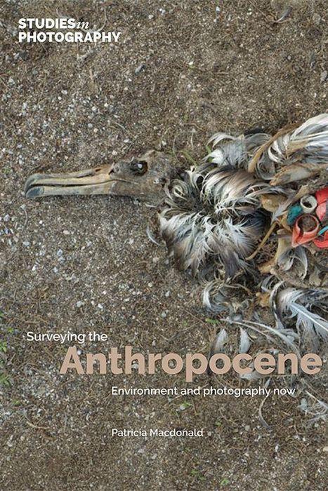 Cover: 9781838382230 | Surveying the Anthropocene: | Environment and Photography Now | Buch