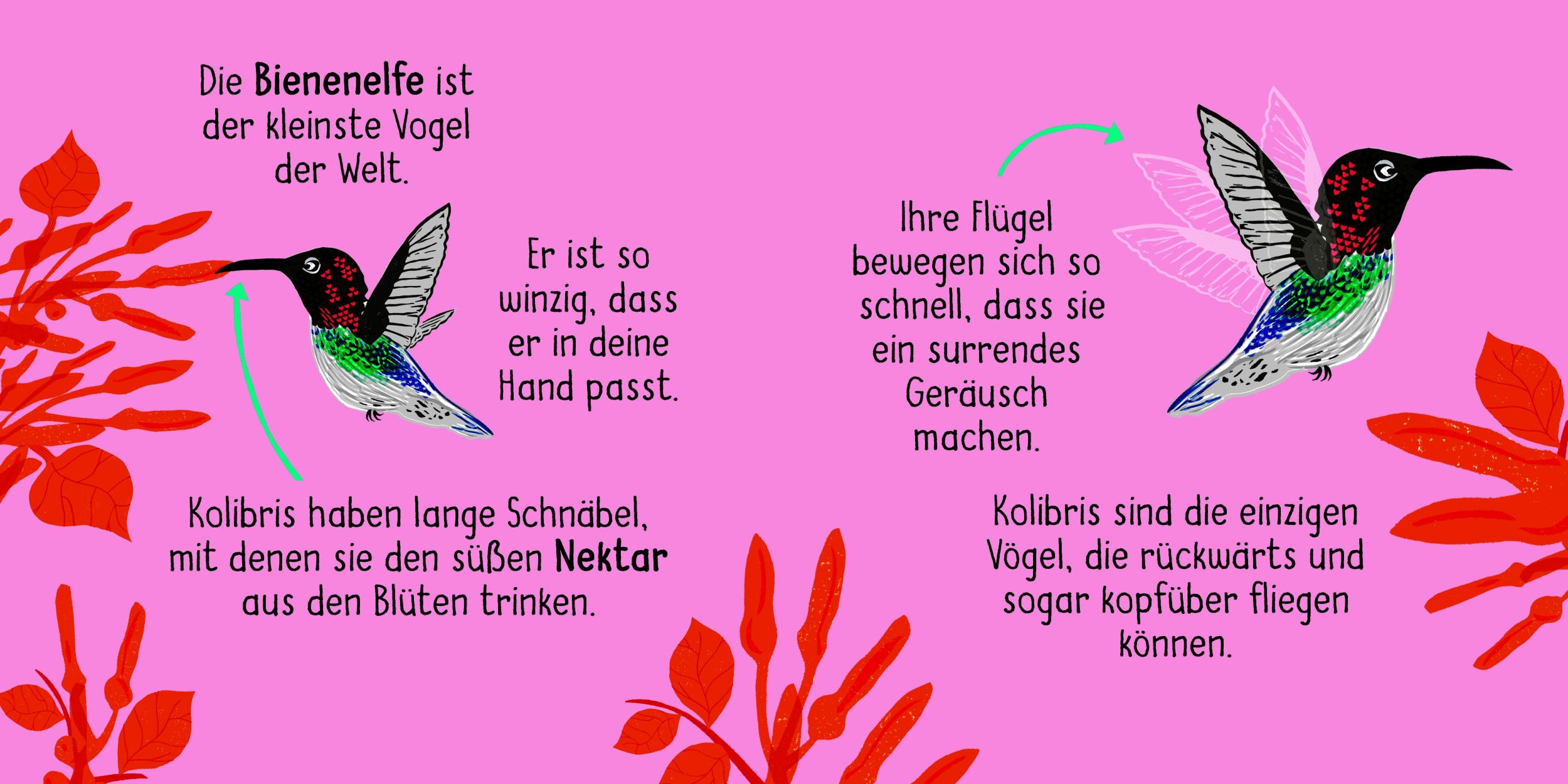 Bild: 9783411708475 | 50 Wörter über die Natur - Vögel | Tara Pegley-Stanger | Buch | 32 S.