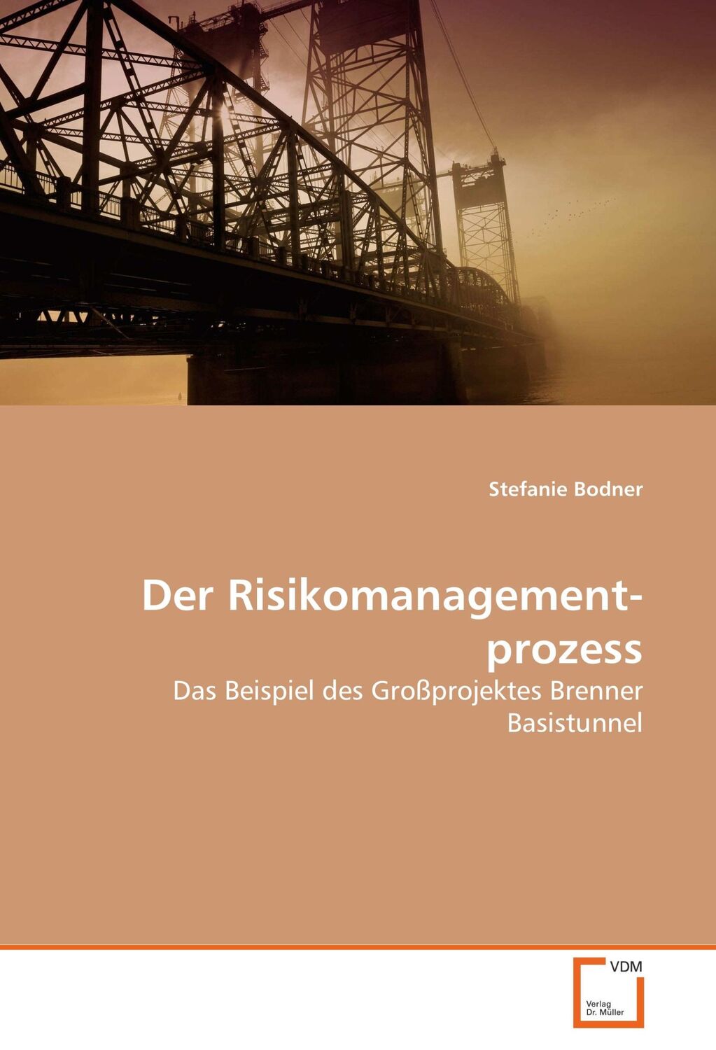 Cover: 9783836490306 | Der Risikomanagement­prozess | Stefanie Bodner | Taschenbuch | 184 S.