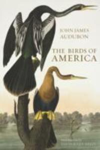 Cover: 9780565093396 | Audubon, J: Birds of America | John James Audubon | Buch | Gebunden