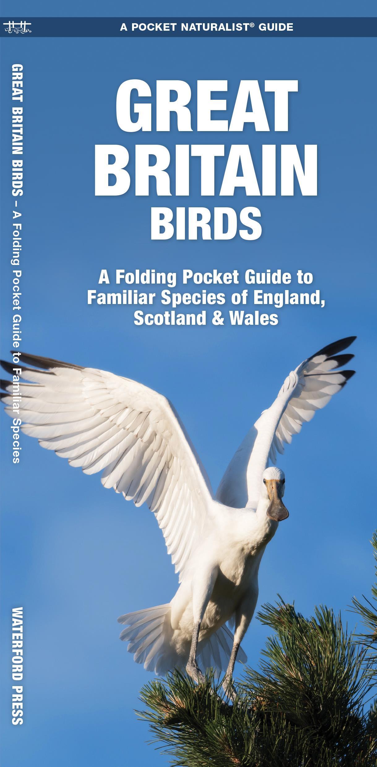 Cover: 9781620053546 | Great Britain Birds | James Kavanagh (u. a.) | Pocket Naturalist Guide