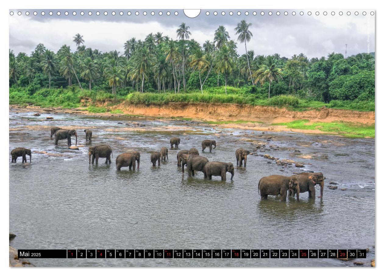 Bild: 9783435670659 | Sri Lanka 2025 ¿ Exotische Welt (Wandkalender 2025 DIN A3 quer),...