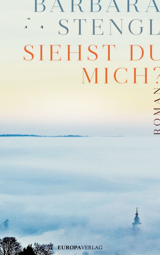 Cover: 9783958902336 | Siehst du mich? | Roman | Barbara Stengl | Buch | 264 S. | Deutsch