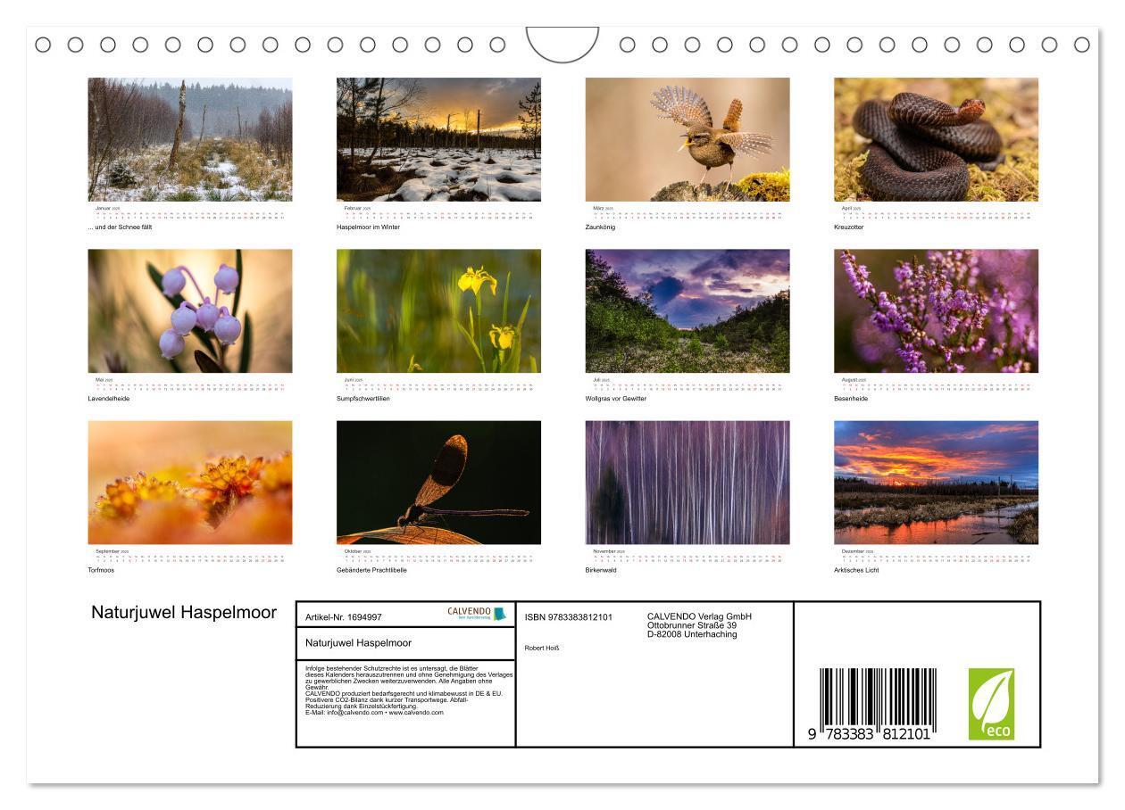 Bild: 9783383812101 | Naturjuwel Haspelmoor (Wandkalender 2025 DIN A4 quer), CALVENDO...