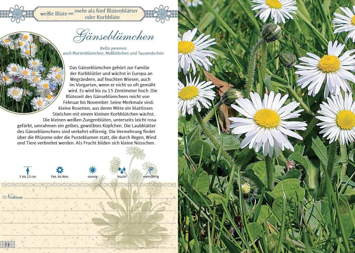 Bild: 9783809446231 | Mein Wildkräuterführer. Über 150 Wildpflanzen sammeln, erkennen &amp;...