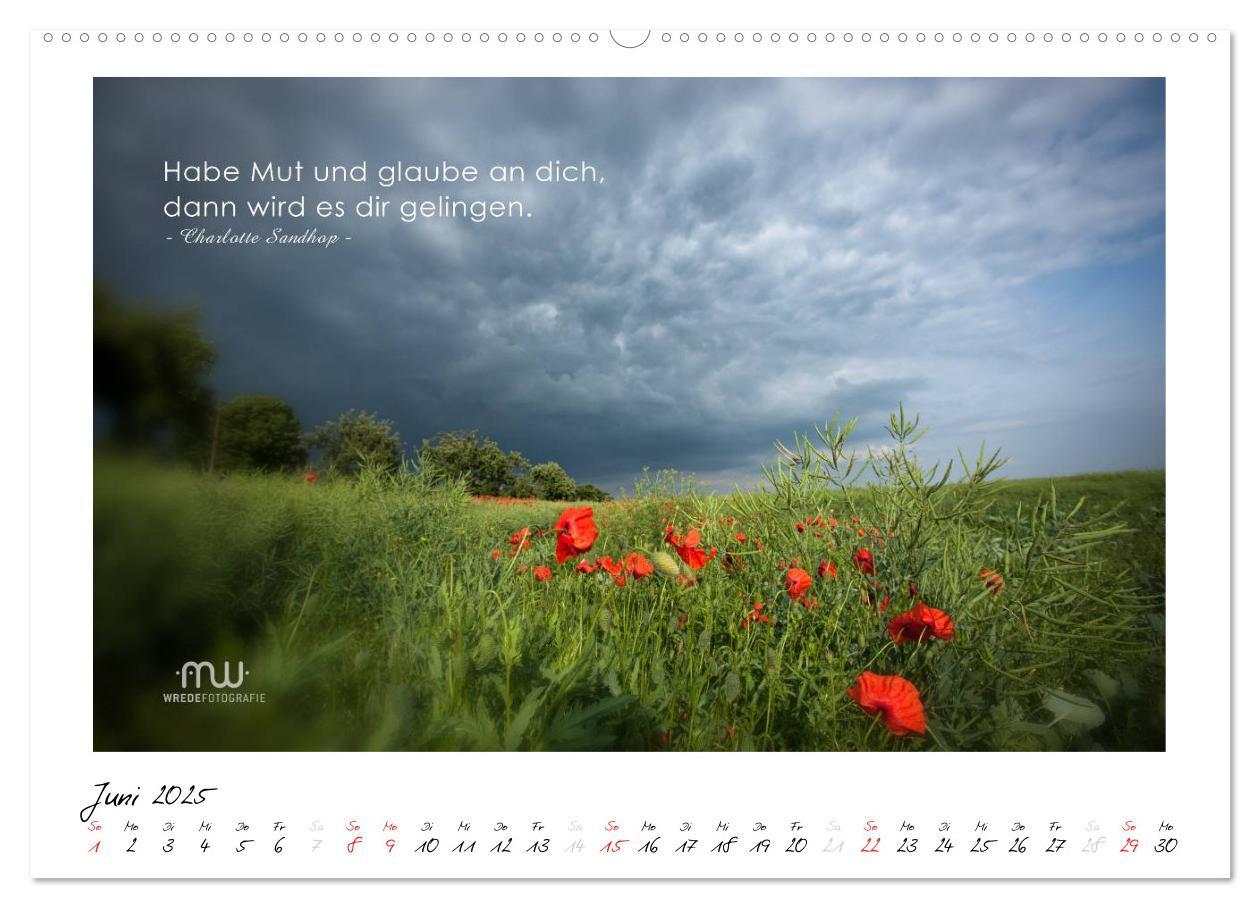 Bild: 9783435657629 | Gedanken... Bildkalender mit Sprüchen (Wandkalender 2025 DIN A2...