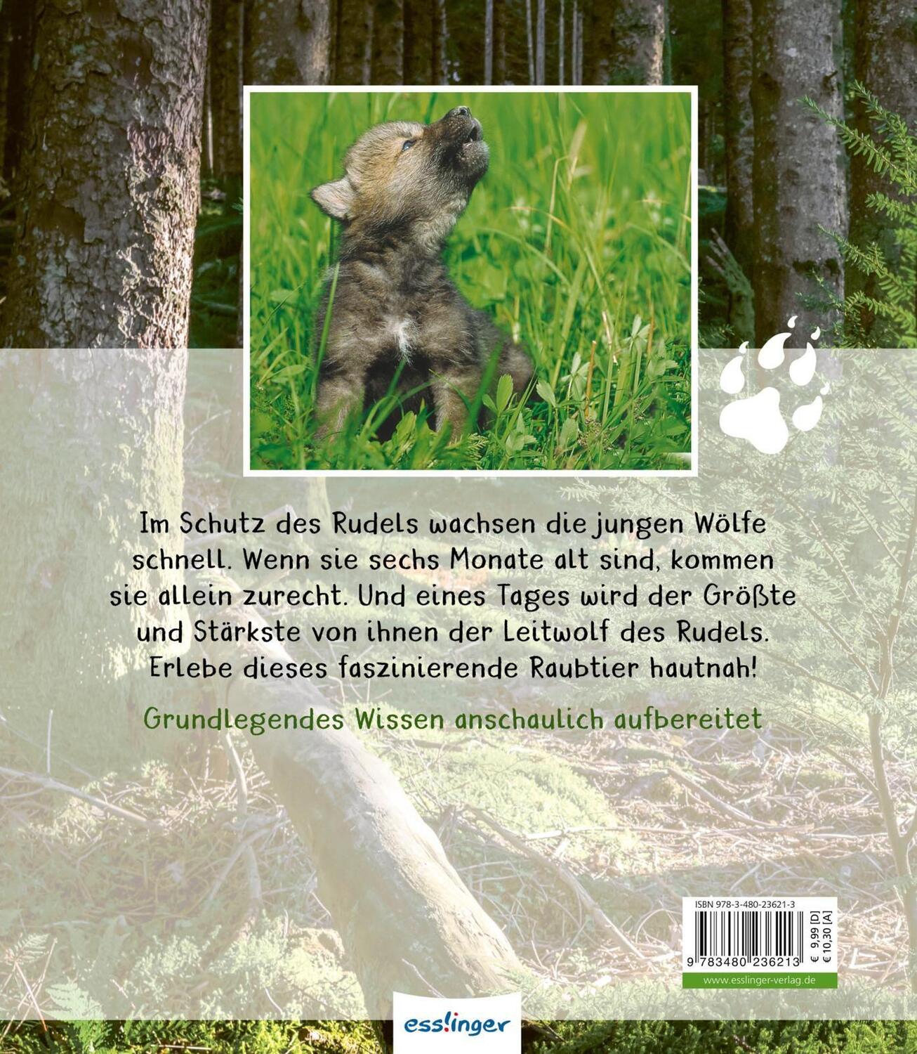 Rückseite: 9783480236213 | Meine große Tierbibliothek: Der Wolf | Christian Havard | Buch | 30 S.