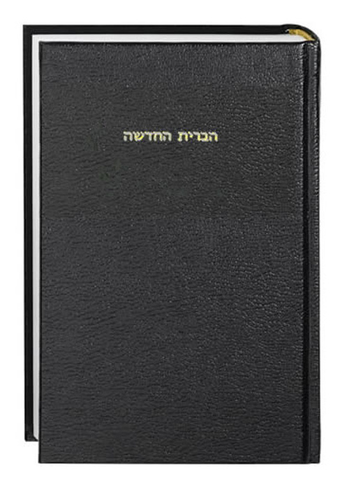 Cover: 9783438082862 | Neues Testament Hebräisch - Ivrit, Übersetzung in der...