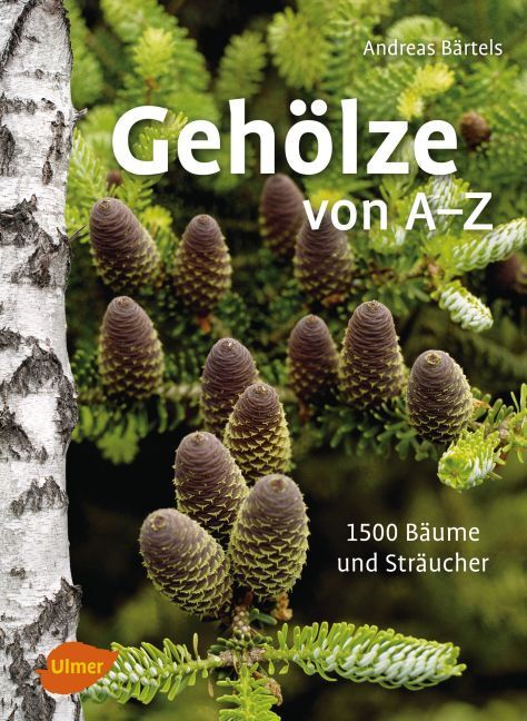 Cover: 9783800103621 | Gehölze von A -Z | 1500 Bäume und Sträucher | Andreas Bärtels | Buch