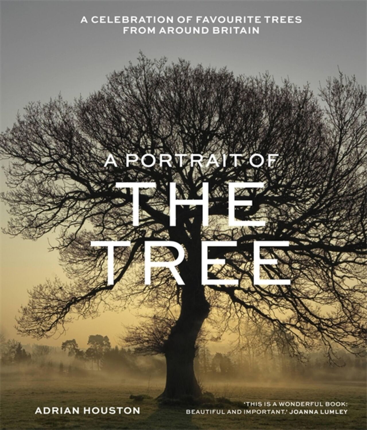 Cover: 9781529412581 | A Portrait of the Tree | Adrian Houston | Buch | Gebunden | Englisch