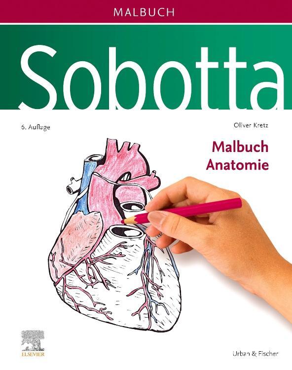 Cover: 9783437412646 | Sobotta Malbuch Anatomie | Oliver Kretz | Taschenbuch | Sobotta | VIII