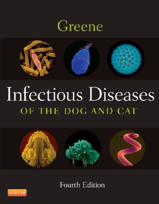 Cover: 9781416061304 | Infectious Diseases of the Dog and Cat | Jane E. Sykes (u. a.) | Buch