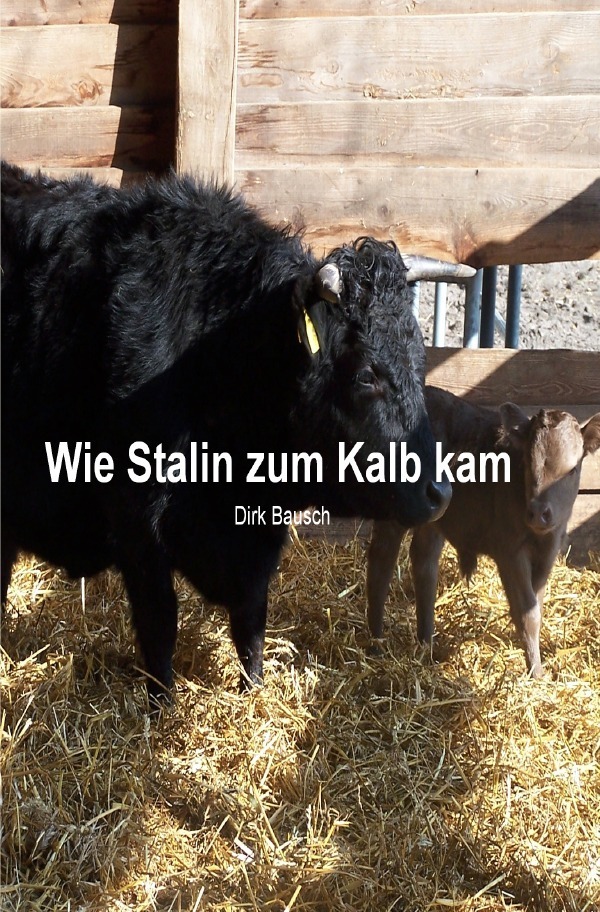 Cover: 9783737500890 | Wie Stalin zum Kalb kam | Dirk Bausch | Taschenbuch | epubli
